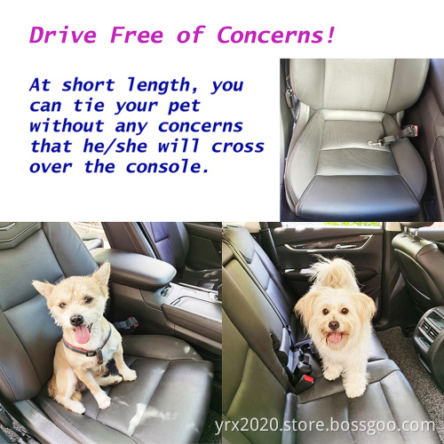 Car Seatbelt Dog Leash Black